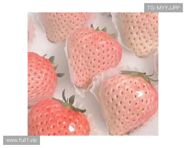 无水印Ins搬运素材免费获取，原创精选内容任你挑选